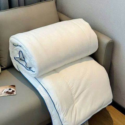 Ruột Chăn Planet Sleep Hotel 230*200 3kg