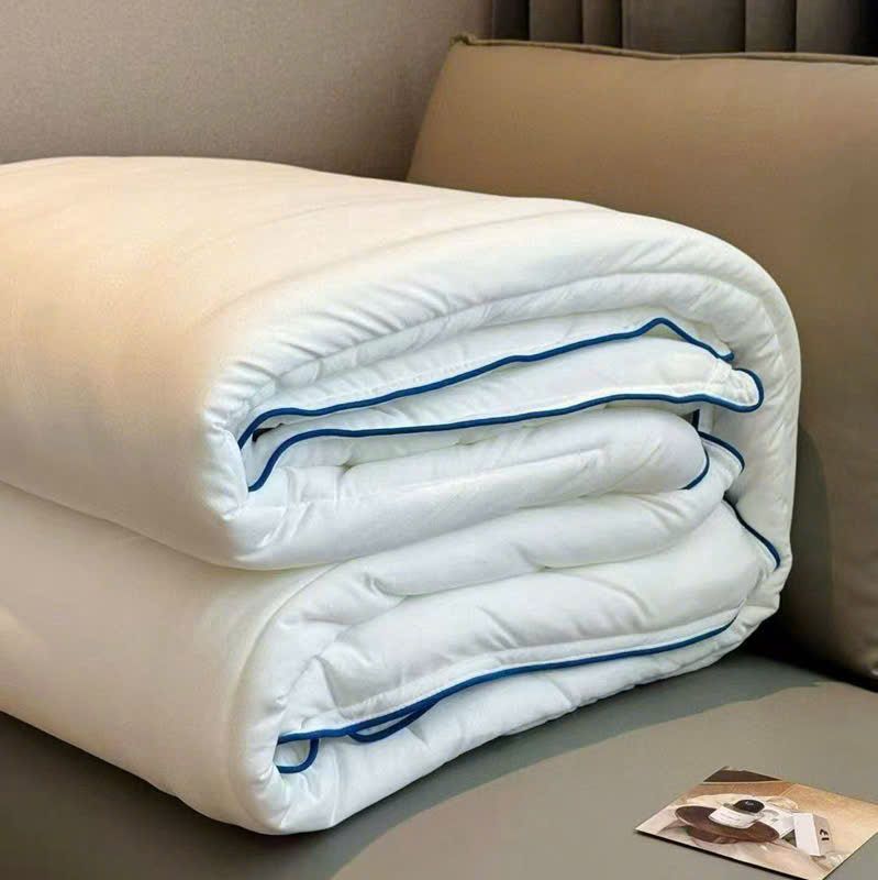 Ruột Chăn Planet Sleep Hotel 230*200 3kg