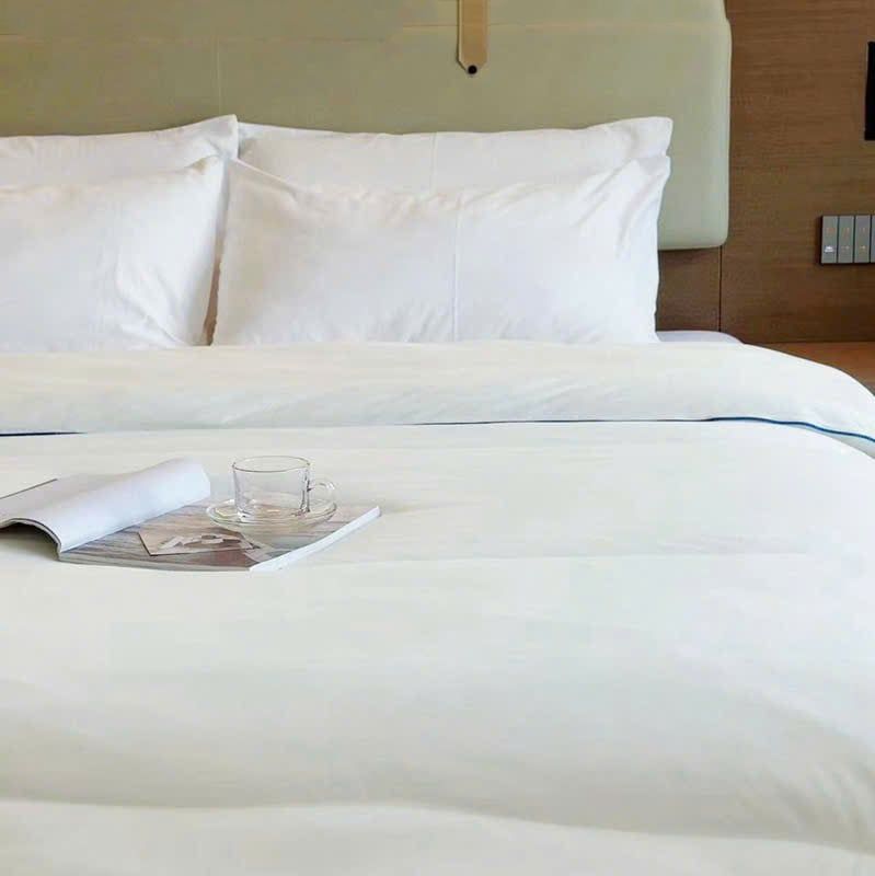 Ruột Chăn Planet Sleep Hotel 230*200 3kg