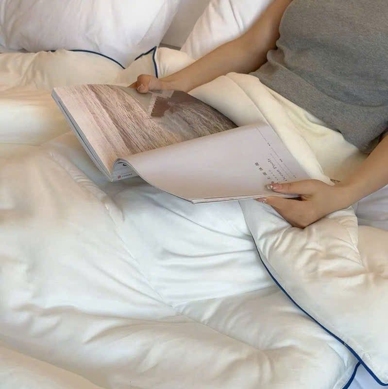 Ruột Chăn Planet Sleep Hotel 230*200 3kg