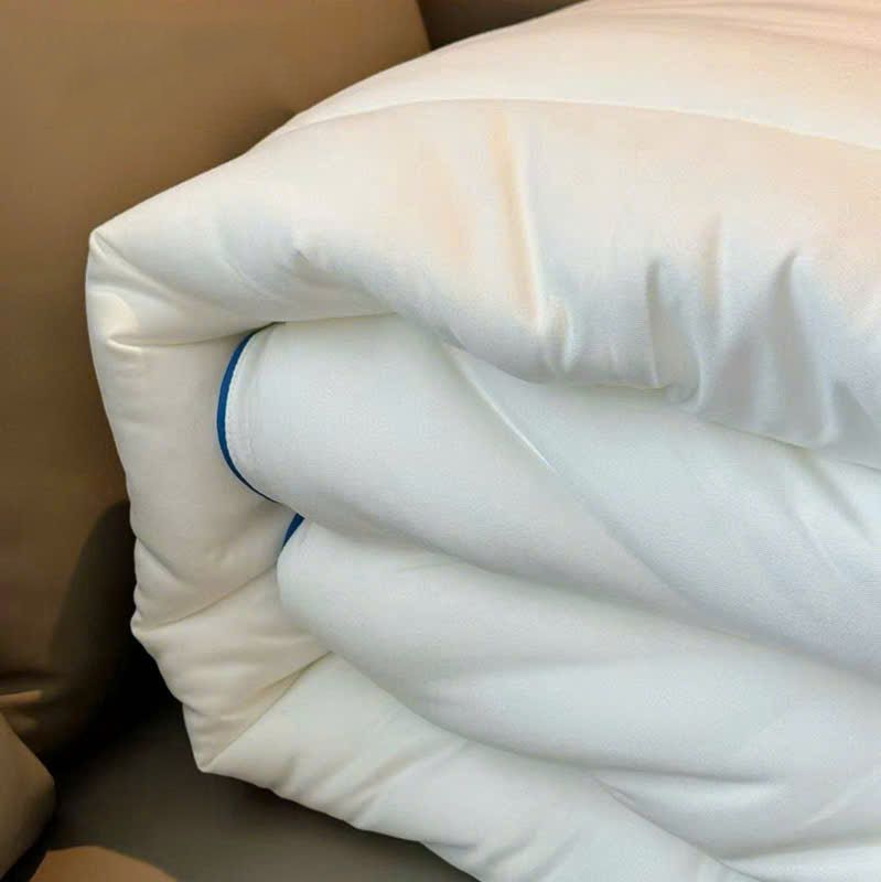 Ruột Chăn Planet Sleep Hotel 230*200 3kg