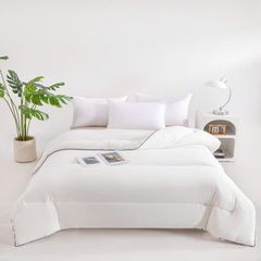 Ruột Chăn Planet Sleep Hotel 230*200 3kg