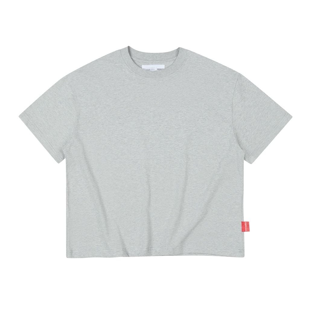 "WHENEVER" SS25 BLANK T-SHIRT / GRAY
