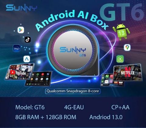 Android Box Sunny GT6S