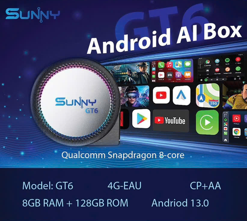 Android Box Sunny GT6S