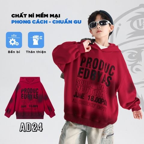 Áo nỉ thun hoddie dài tay AD24 - WY5810