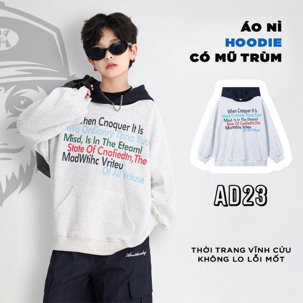 Áo nỉ dài tay hoddie AD23 - WY5870