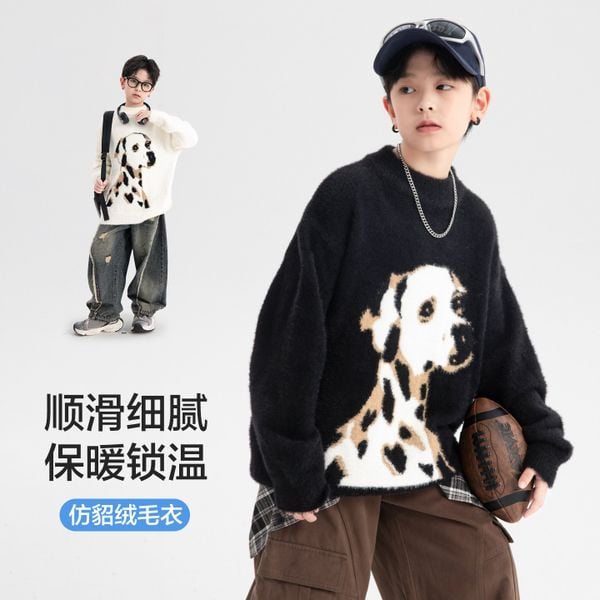 Áo len dài tay AD52-WY6070