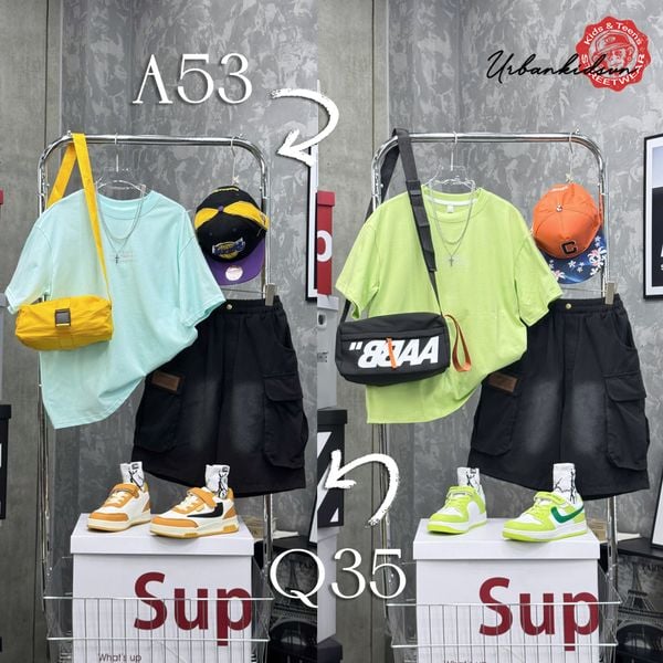 Áo thun ngắn tay A53 -TX5256