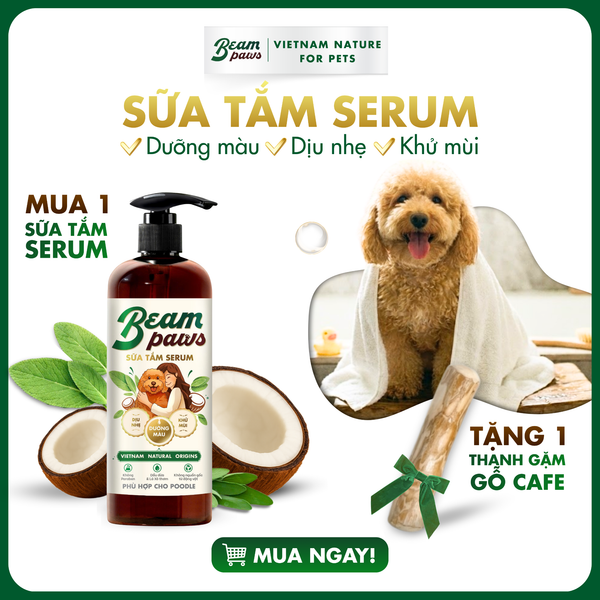 Combo Dịu Nhẹ Cho Poodle (1+1)