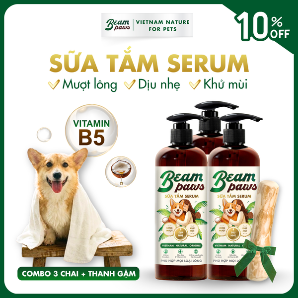 Combo Toàn Diện (3+1)