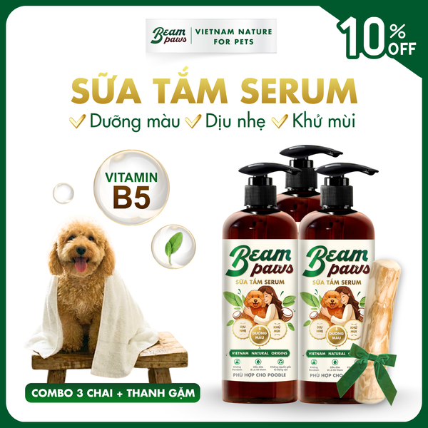 Combo Dịu Nhẹ Cho Poodle (3+1)