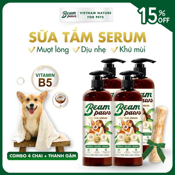 Combo Toàn Diện (4+1)