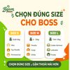 Đồ Chơi Gặm Gỗ Tug Tự Nhiên Beam Paws Cho Cún - Bền Chắc, Sạch Răng, Giảm Stress