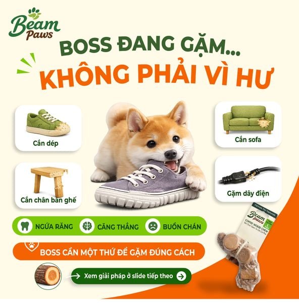 Đồ Chơi Gặm Gỗ Tug Tự Nhiên Beam Paws Cho Cún - Bền Chắc, Sạch Răng, Giảm Stress