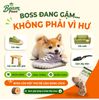 Đồ Chơi Gặm Gỗ Tug Tự Nhiên Beam Paws Cho Cún - Bền Chắc, Sạch Răng, Giảm Stress