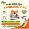 Đồ Chơi Gặm Gỗ Stick Tự Nhiên Beam Paws Cho Cún - Bền Chắc, Sạch Răng, Giảm Stress