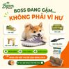 Đồ Chơi Gặm Gỗ Cube Tự Nhiên Beam Paws Cho Cún - Bền Chắc, Sạch Răng, Giảm Stress