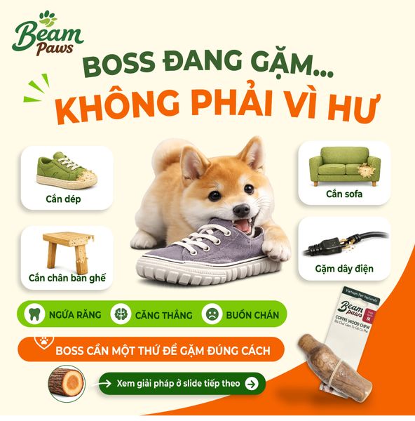 Đồ Chơi Gặm Gỗ Gorilla Tự Nhiên Beam Paws Cho Cún - Bền Chắc, Sạch Răng, Giảm Stress