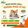 Đồ Chơi Gặm Gỗ Gorilla Tự Nhiên Beam Paws Cho Cún - Bền Chắc, Sạch Răng, Giảm Stress