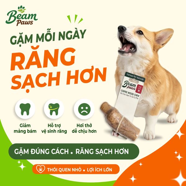 Đồ Chơi Gặm Gỗ Gorilla Tự Nhiên Beam Paws Cho Cún - Bền Chắc, Sạch Răng, Giảm Stress
