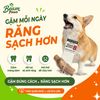 Đồ Chơi Gặm Gỗ Gorilla Tự Nhiên Beam Paws Cho Cún - Bền Chắc, Sạch Răng, Giảm Stress