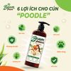 Sữa tắm serum poodle Beam Paws 470ml – Dưỡng Lông Mềm Mượt, Giữ Màu Lông, Serum Dầu Dừa & Lá Xô Thơm Tự Nhiên