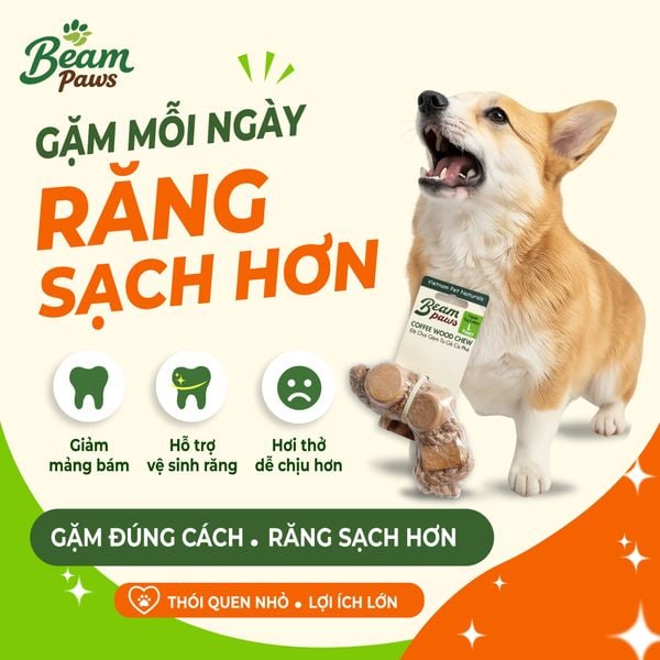 Đồ Chơi Gặm Gỗ Tug Tự Nhiên Beam Paws Cho Cún - Bền Chắc, Sạch Răng, Giảm Stress