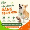Đồ Chơi Gặm Gỗ Tug Tự Nhiên Beam Paws Cho Cún - Bền Chắc, Sạch Răng, Giảm Stress
