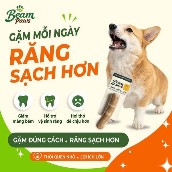 Đồ Chơi Gặm Gỗ Stick Tự Nhiên Beam Paws Cho Cún - Bền Chắc, Sạch Răng, Giảm Stress