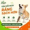 Đồ Chơi Gặm Gỗ Stick Tự Nhiên Beam Paws Cho Cún - Bền Chắc, Sạch Răng, Giảm Stress