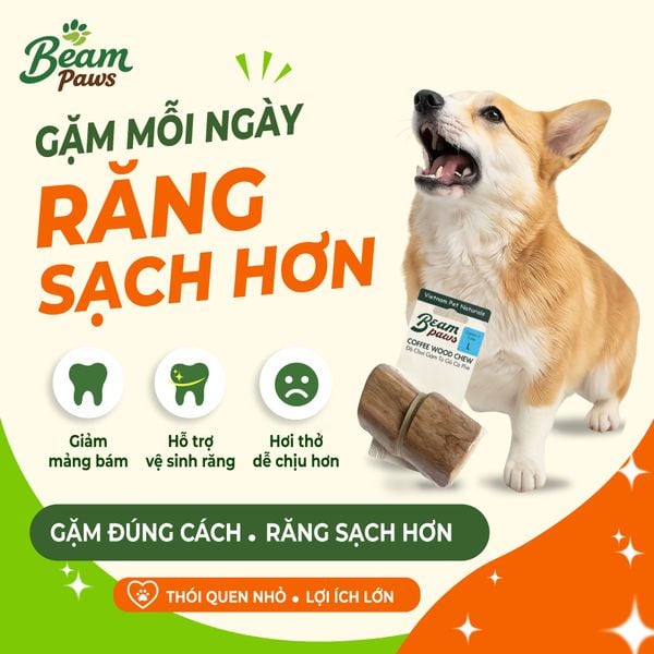 Đồ Chơi Gặm Gỗ Cube Tự Nhiên Beam Paws Cho Cún - Bền Chắc, Sạch Răng, Giảm Stress