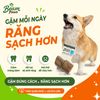 Đồ Chơi Gặm Gỗ Cube Tự Nhiên Beam Paws Cho Cún - Bền Chắc, Sạch Răng, Giảm Stress