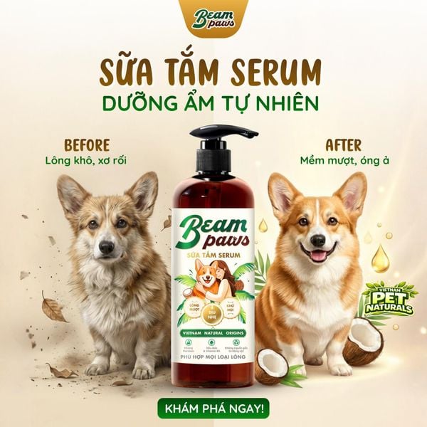 Sữa tắm serum Beam Paws 470ml – Dưỡng Lông Mềm Mượt, Dưỡng Da, Vitamin B5 & Dầu Dừa Thiên Nhiên