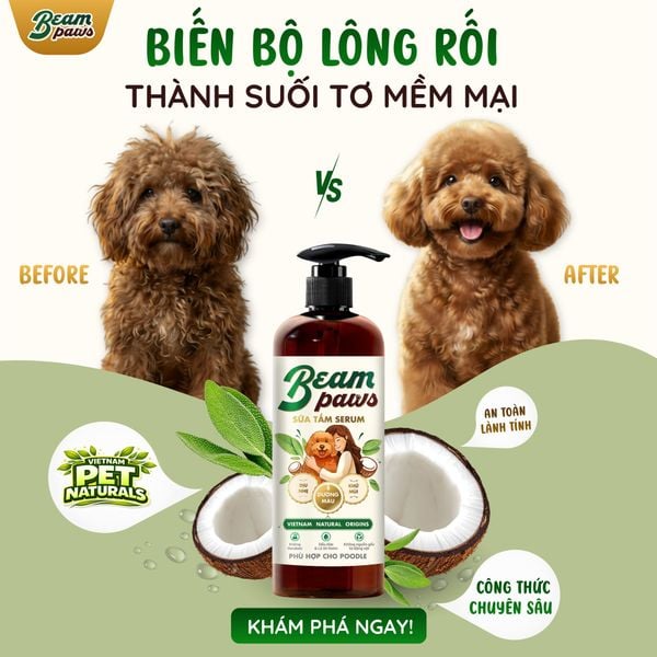 Sữa tắm serum poodle Beam Paws 470ml – Dưỡng Lông Mềm Mượt, Giữ Màu Lông, Serum Dầu Dừa & Lá Xô Thơm Tự Nhiên