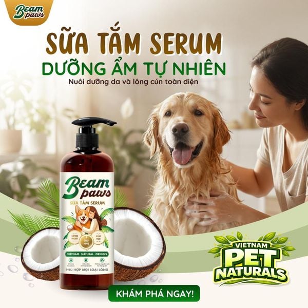 Sữa tắm serum Beam Paws 470ml – Dưỡng Lông Mềm Mượt, Dưỡng Da, Vitamin B5 & Dầu Dừa Thiên Nhiên