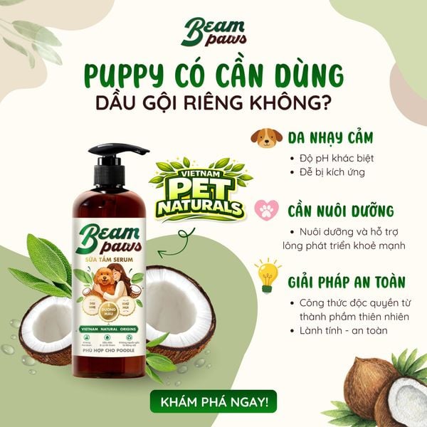 Sữa tắm serum poodle Beam Paws 470ml – Dưỡng Lông Mềm Mượt, Giữ Màu Lông, Serum Dầu Dừa & Lá Xô Thơm Tự Nhiên
