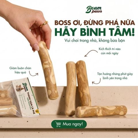 Beam Paws – Đồ Chơi Cho Cún Gặm Gỗ Cà Phê Tự Nhiên Cho Chó | An Toàn, Sạch Răng, Giảm Stress