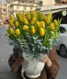  Bình Hoa Nắng Vàng Tulip - HCB11 