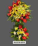  Kệ Hoa Chúc Mừng Đại Hội - B501 