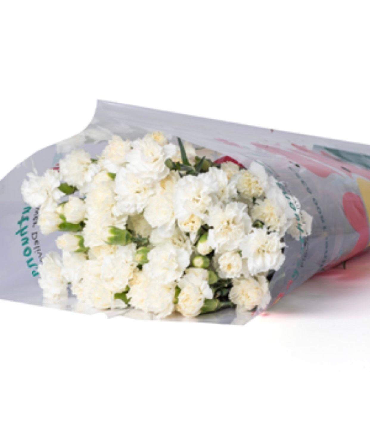  Hoa Cẩm Chướng Chùm - HCC22 