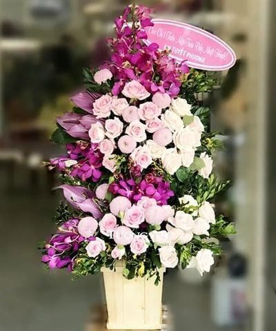  Hộp Hoa Tông Hồng Tím - B139 