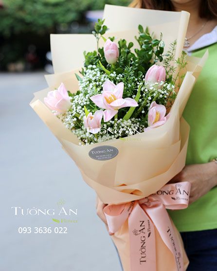  Bó Hoa Tulip Hồng - S113 