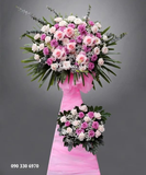  Kệ Hoa Tỏa Sáng - A40 