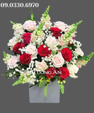  Hộp Hoa Bé Nhỏ - B176 