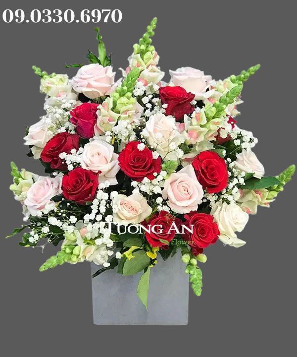  Hộp Hoa Bé Nhỏ - B176 