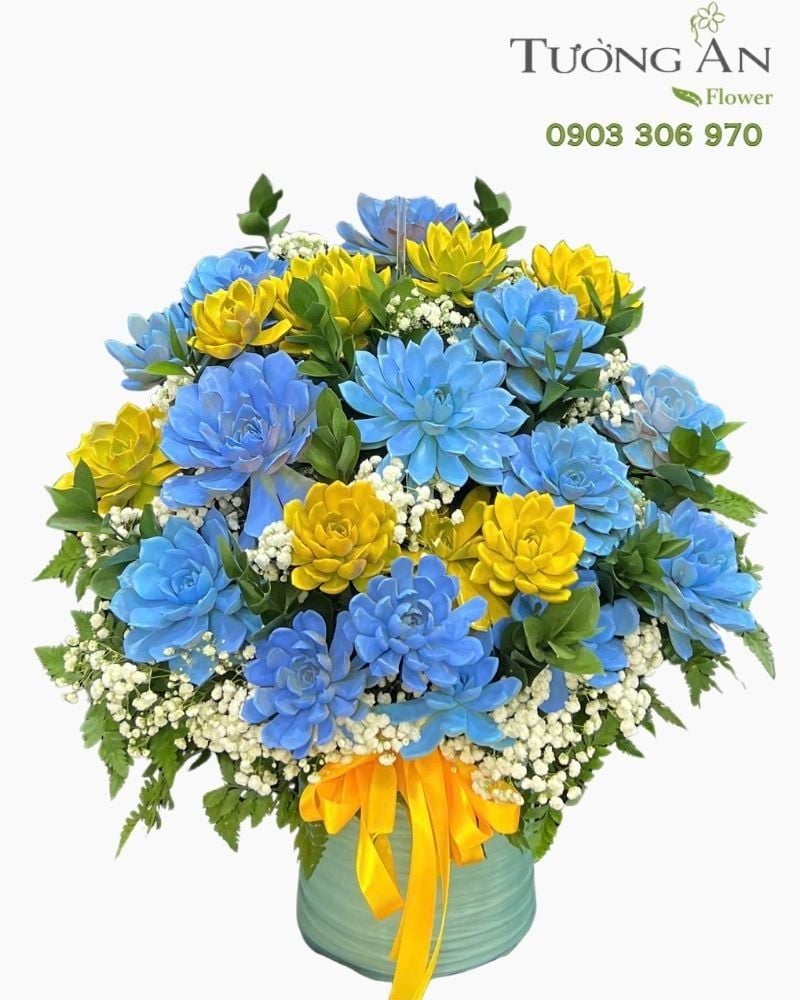  Chậu Sen Đá Sắc Màu Hy Vọng - SD07 