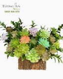  Chậu Sen Đá Sắc Xanh Bền Vững - SD16 