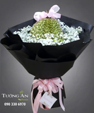  Hoa Trái Cây Tương Tư - A134 