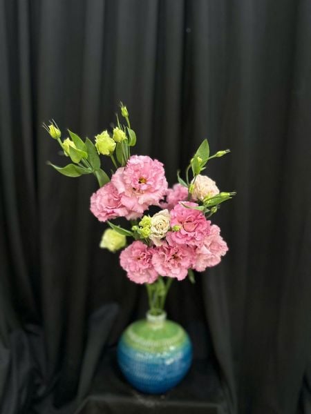  Hoa Cát Tường-HCC11 